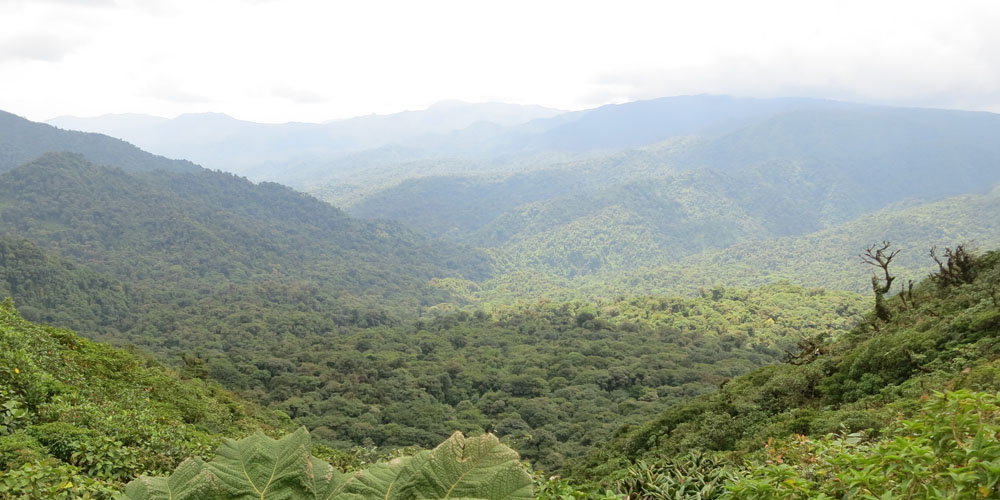 Viajar a Costa Rica: vive la naturaleza salvaje en primera persona