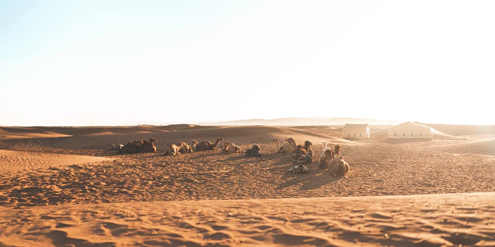 imagen de Zagora durante una excursión al desierto desde Marrakech