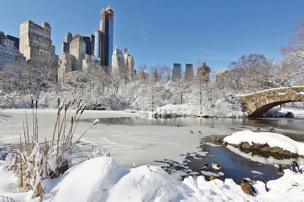 El tiempo en enero en Nueva York con Central Park nevado