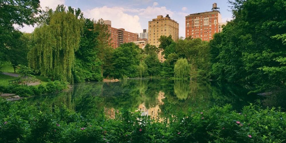 Imagen de Central Park con la ciudad de Manhattan de fondo.