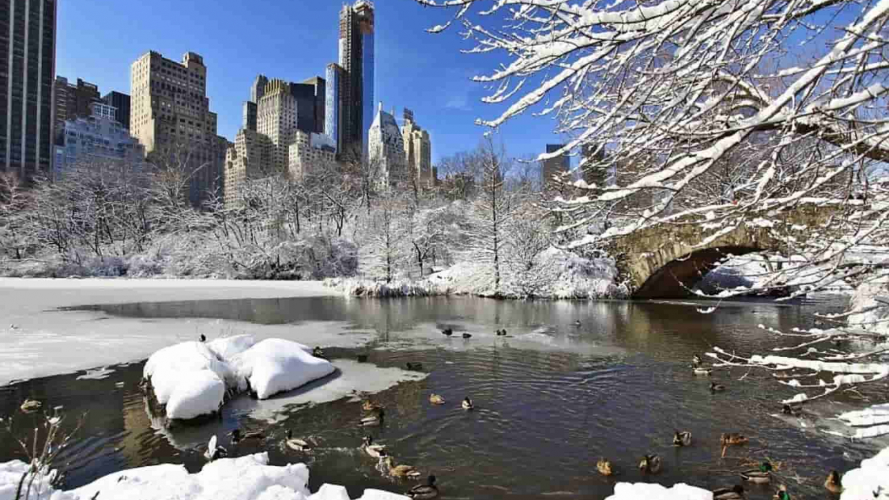 Agencia de viajes espada sangre Tiempo, Clima y Temperatura en Nueva York en Diciembre | Kolaboo