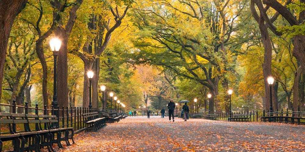 Central Park en otoño rodeado por la suave temperatura en Nueva York en noviembre.
