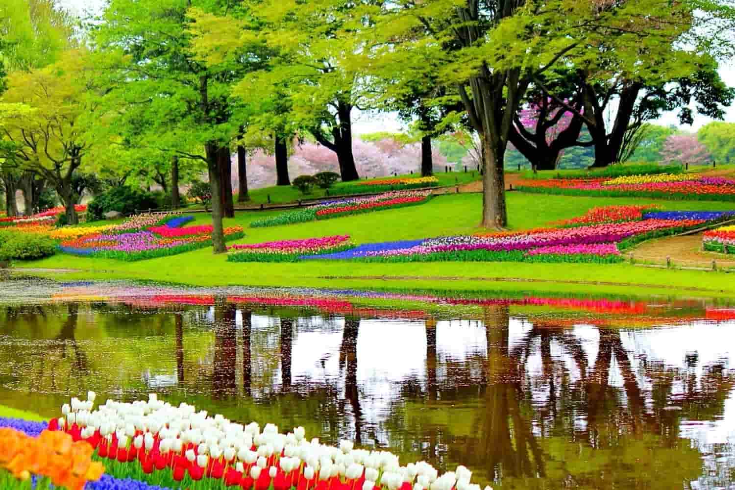 Los 6 parques de Ámsterdam más famosos y coloridos ❤️