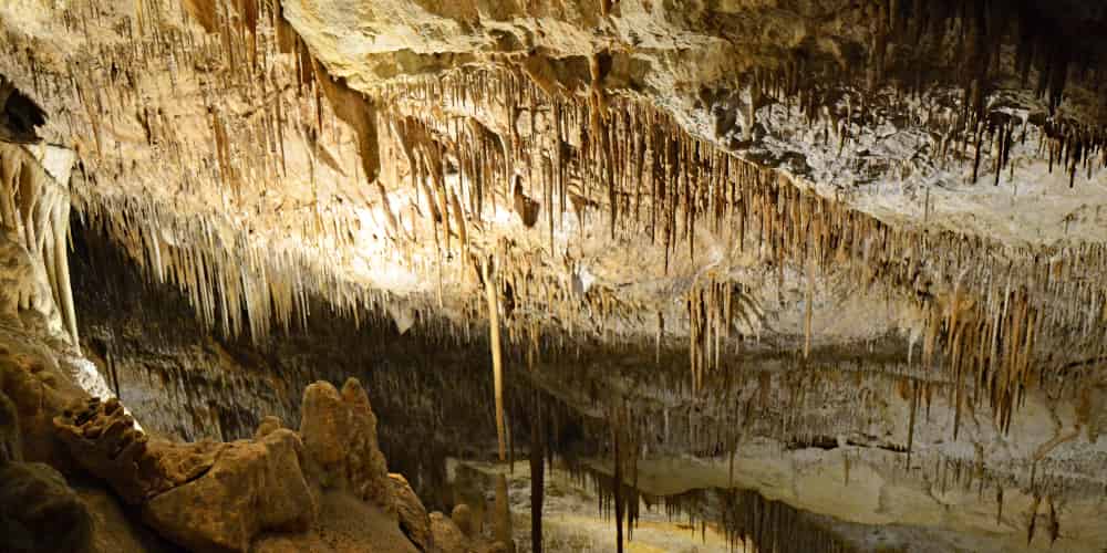 Las cuevas del Drach son uno de los fenómenos naturales más importantes que ver en Mallorca