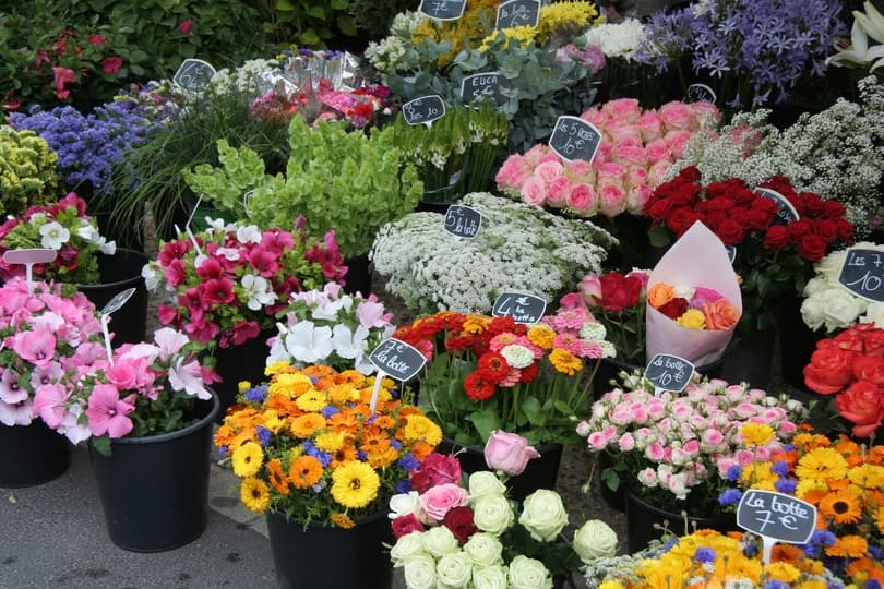 Mercado de las Flores de Niza