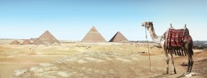 Visitar las pirámides y la Gran Esfinge de Guiza