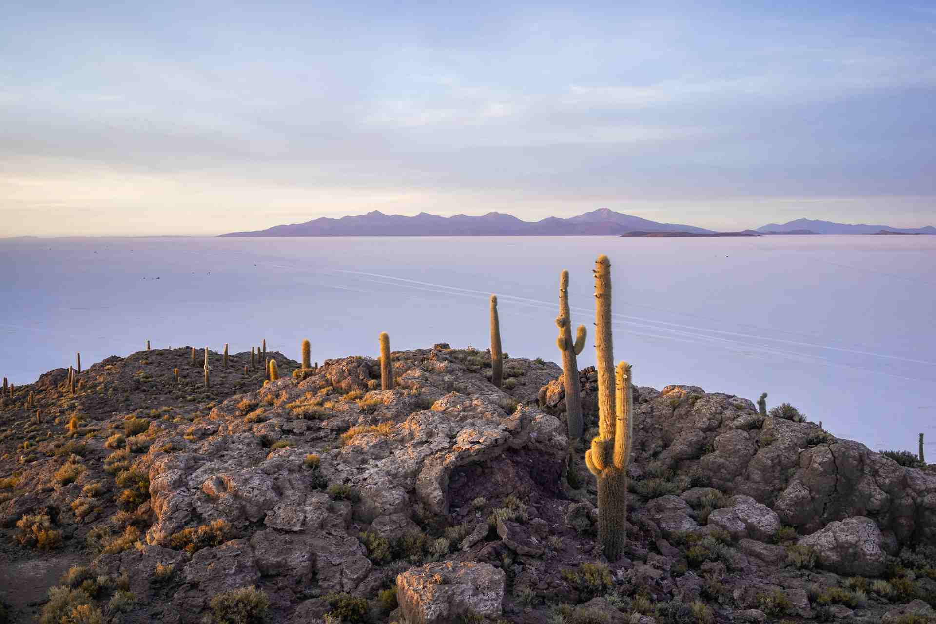 Panorámica desde la isla Incahuasi en el Salar de Uyuni.
